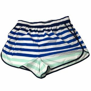 Hunter Target Shorts Swim, Beach Athletic Striped